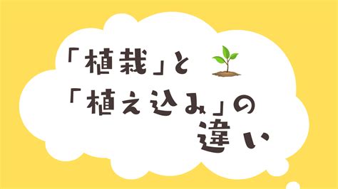 樹木植栽|「植栽」と「樹木」の違いとは？分かりやすく解釈